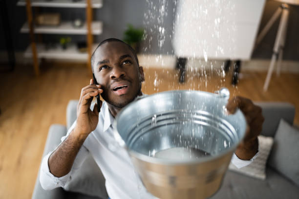 Best Mold removal after water damage  in Smithfield, VA