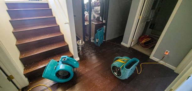 Best Flooded house restoration  in Smithfield, VA