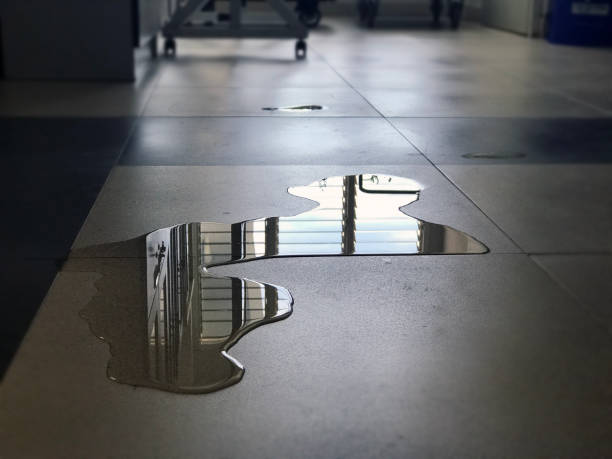 Best Professional water damage repair  in Smithfield, VA