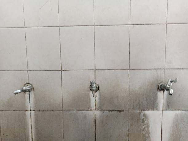  Smithfield, VA Water damage restoration Pros