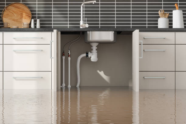 Best Local water damage restoration  in Smithfield, VA